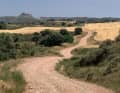Ein Traum - Einmal mit dem Gravelbike diesen geschwungenen Schotterweg entlang fahren 