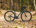 Bikepacking-Gravelbike Giant Revolt Advanced