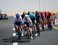 Auch Mark Cavendish ist vorne dabei