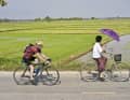 Nach den Bergen führt der vierte Tag den TOUR-Autor Dres Balmer durch Reisfelder bis an den Mekong.