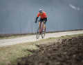 Wie viel Gravelbike bekommt man für maximal 2000 Euro? Zehn aktuelle Modelle aus Carbon und Alu stellen sich dem TOUR-Test