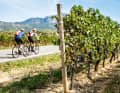 ... Berge: Reben und Höhenzüge sind ständige Begleiter in der Rioja.