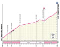 Der Anstieg zum Passo Pinei auf der 16. Etappe des Giro d'Italia 2024 im Profil.