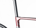 Das Focus Izalco Max 8.9 im Detail