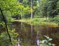 Radreise Nordvogesen: Ein idyllischer Kurztrip mit dem Bike.
