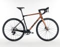 Das ist das Koga Roqa Allroad