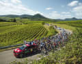 Weinprobe Rennleiter Fabian Wegmann (im Ausguck des Autos) führt auf der vierten Etappe das Peloton durch die Reben.
