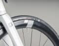 Das Focus Izalco Max 9.8 im Detail