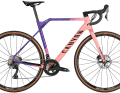 Das gleiche Modell in Additive Pink