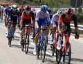 Schließlich schaffen 26 Fahrer den Sprung in die Gruppe des Tages. Mit dabei sind die beiden Ineos-Grenadiers-Profis Filippo Ganna und Geraint Thomas
