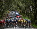 Das Peloton kam gestaffelt in den Schlussanstieg, die Teams sortierten sich für das Finale