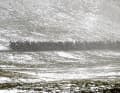 Das Peloton erklimmt bei frostigen Temperaturen den Forca di Presta in 1538 Metern Höhe