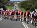 Für die Nachführarbeit war das UAE Team Emirates zur Stelle, das Peloton holte die Ausreißer frühzeitig ein
