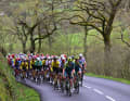 Im Peloton führt Bora-Hansgrohe für Primoz Roglic nach