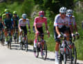 UAE Team Emirates um Tadej Pogacar lässt die Gruppe ziehen