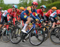 Auch Trek stattete sein Lidl-Trek-Team mit einem Modell aus, das noch nicht offiziell vorgestellt. Bei der Neuheit handelt es sich um einen Zwitter aus Madone und Émonda.