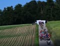 Im Peloton wird es erst im Finale hektisch