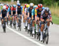 Im Peloton arbeiten die Sprinterteams wie Alpecin-Deceuninck oder Lidl-Trek