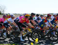 Peloton in der neutralisierten Phase