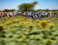 Blumig: Das Peloton bei der Fahrt durch südfranzösische Sonnenblumenfelder