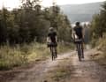 Auf Waldpisten und Forstwegen finden Gravelbiker im Erzgebirge kilometerweise Tourenspaß