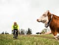 Gravelbiking im Jura