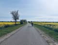Grundlage am Geiseltalsee und auf dem Zuckerbahnradweg