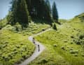 Into the Wold - ein Gravel-Wochenende im Bregenzerwald