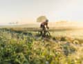TOUR stellt sieben Allroadbikes vor