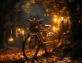 TOUR Leserumfrage 2024