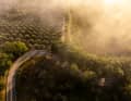 L'Eroica