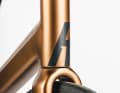 Das Rose Reveal AL im Detail