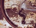 Die neue Campagnolo Ekar GT vergünstigt den Einstieg in die Campagnolo-Welt