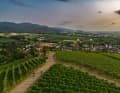 Kurze Anstiege führen durch die Weinberge des Markgräflerlandes. Wer länger klettern will, ­ wird östlich davon im Schwarz­wald fündig