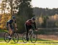 Das Canyon Endurace CF SL 8 Di2 vs. Rose Reveal Four Disc Ultegra