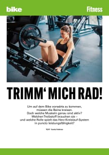 Guide 41: Fitness