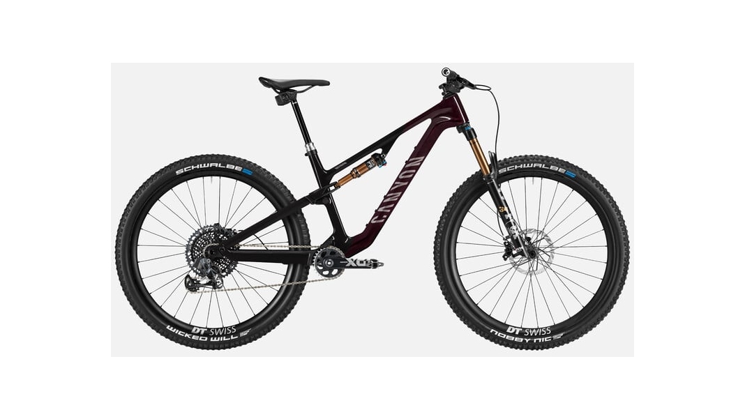 Neuron CF LTD