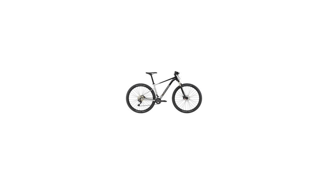 29 M Trail SL 4 Modelljahr 21