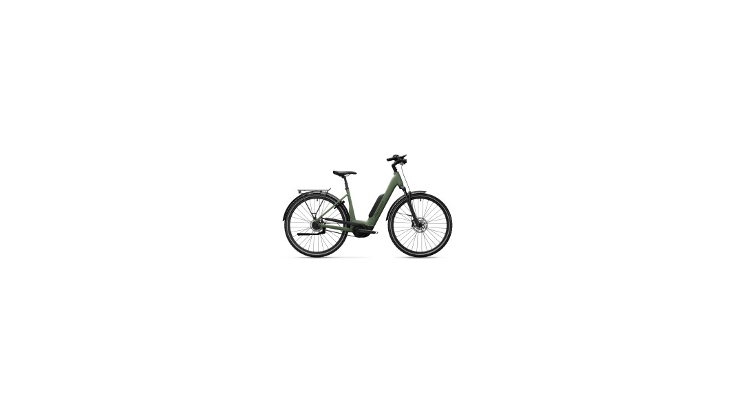 TOUR Plus  / Basil Green