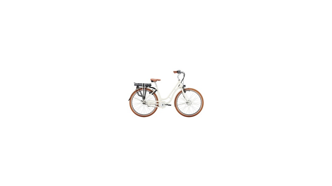 Swan-Retro E