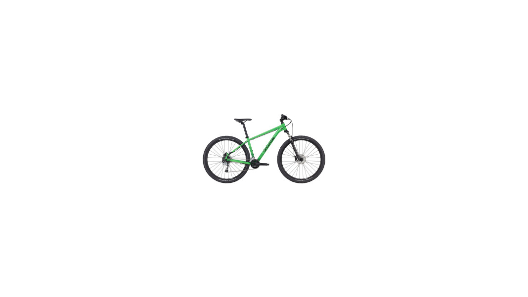 29 M Trail 7