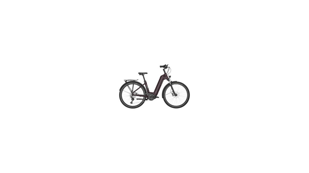 E-Horizon Expert 6 Wave plum