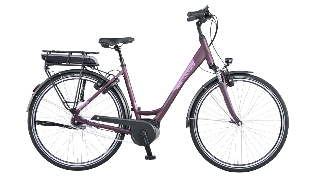 Bristol dark orchid Li-Ion 500