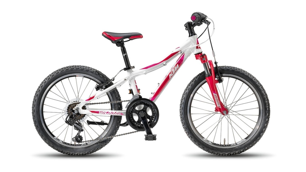 WILD BEE 20.12 MTB