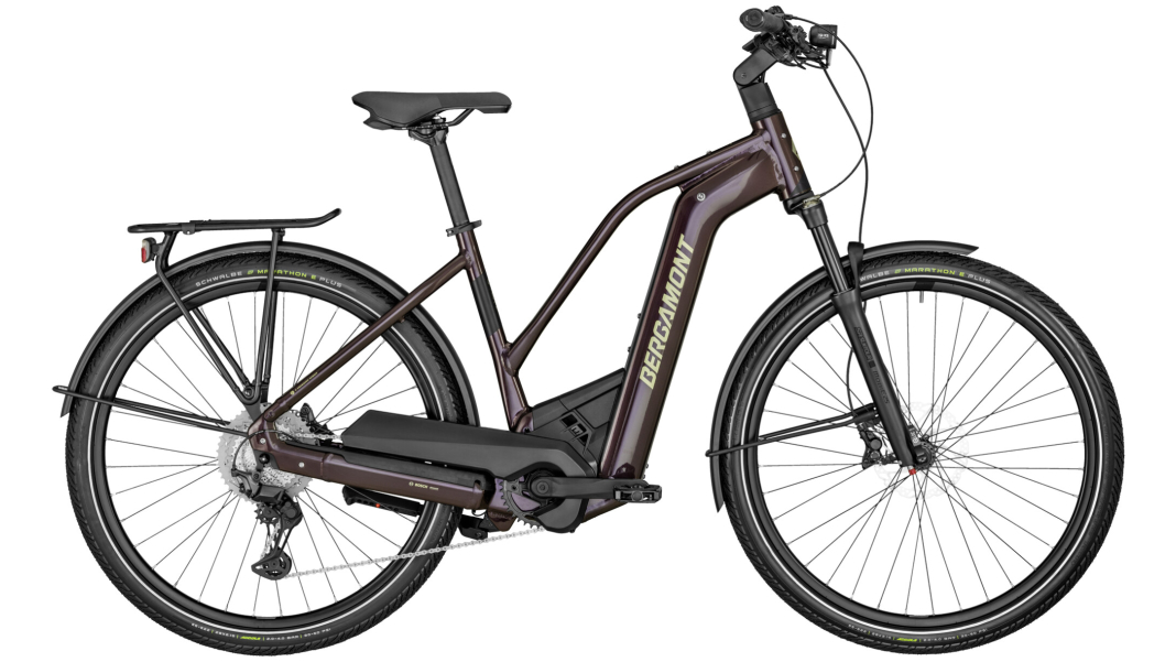 E-Horizon Premium Expert Lady