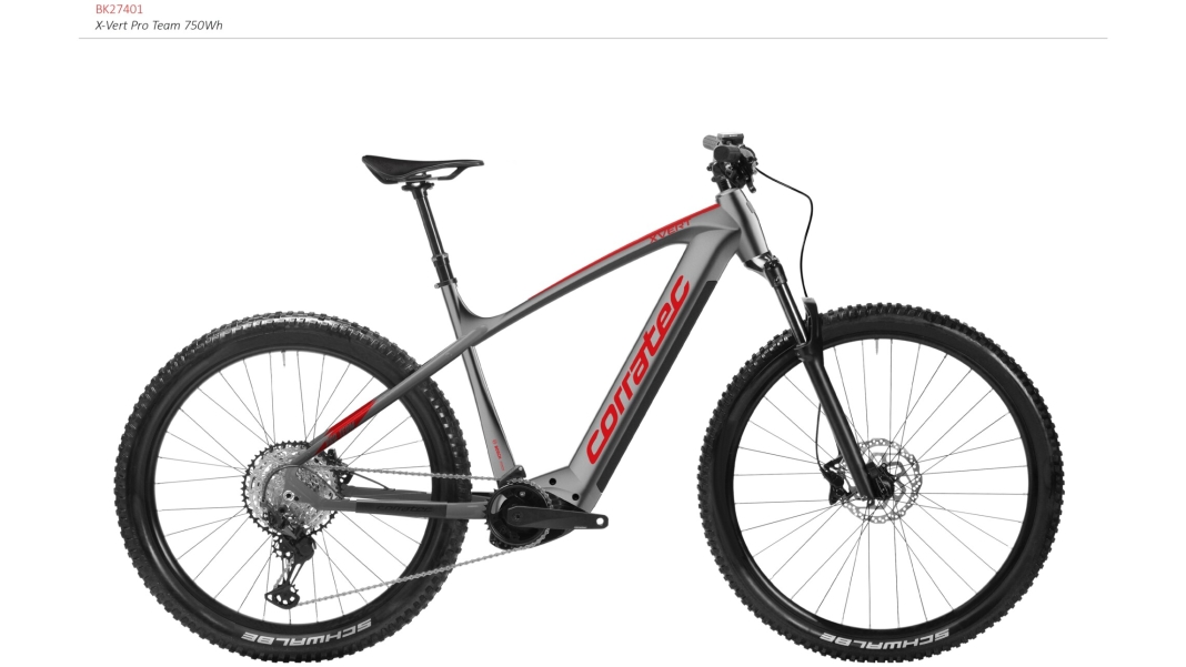E-Power X Vert Pro Team