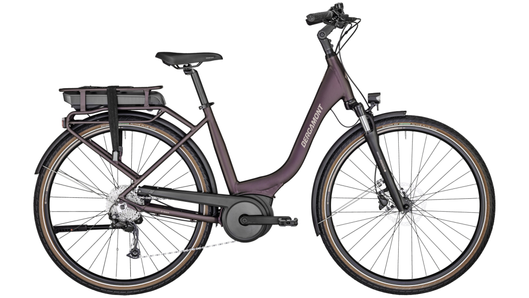 E-Horizon 4 RT aubergine