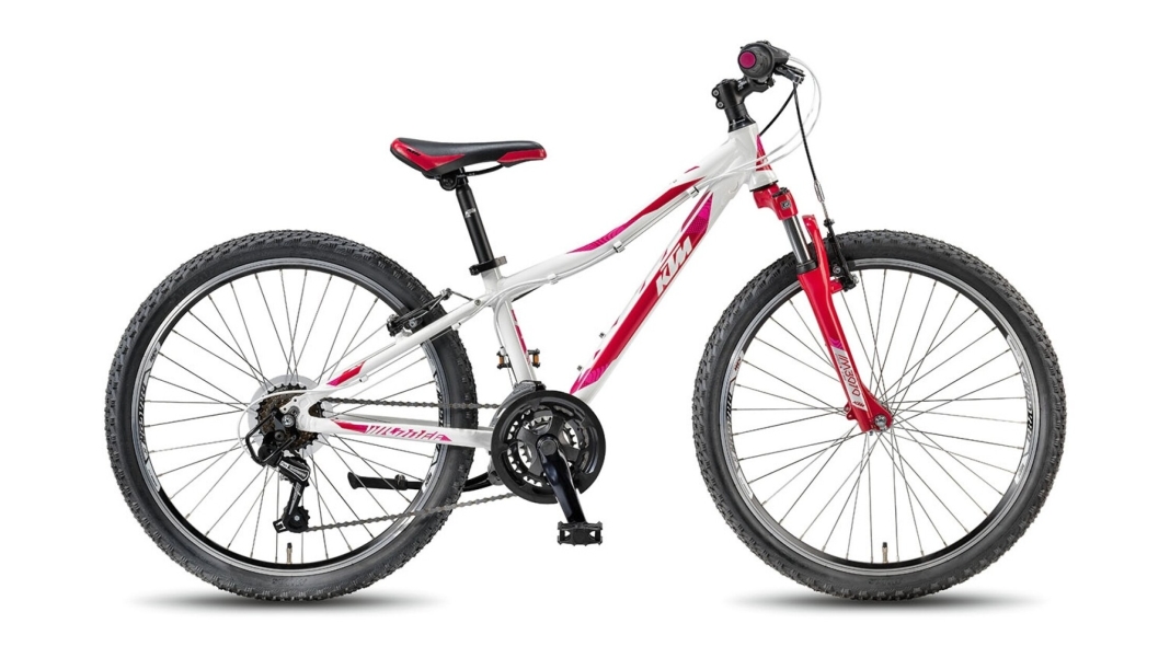 WILD BEE 24.18 MTB