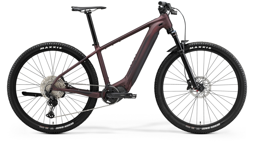 eBIG.NINE 700 EP2