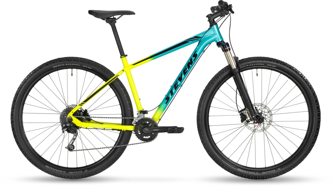Taniwha 29"